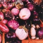 ɫO(sh)Ӌ(j)